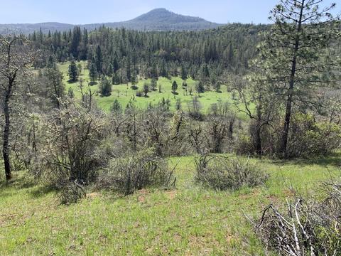 871 Alpine Rd, Eagle Point, OR 97524