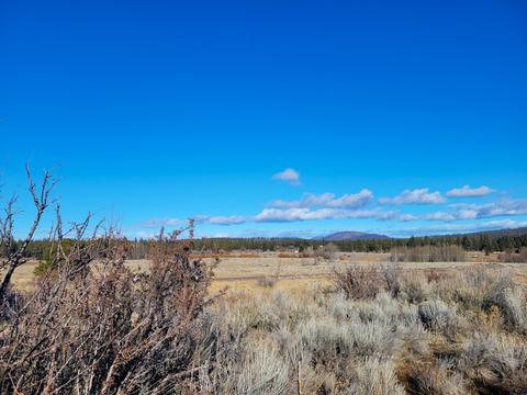 0 Boyle Rd, Chiloquin, OR 97624