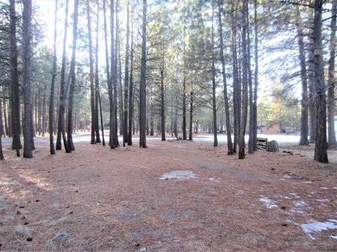 14652 Bluegrass Loop, Sisters, OR 97759 photo 28