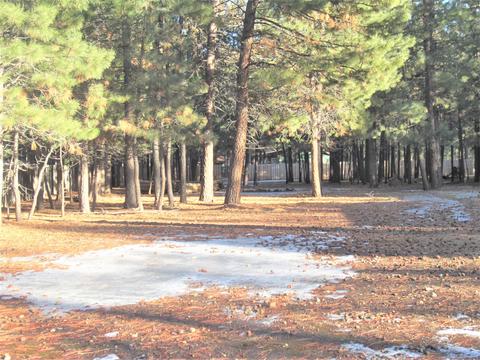 14652 Bluegrass Loop, Sisters, OR 97759 photo 25