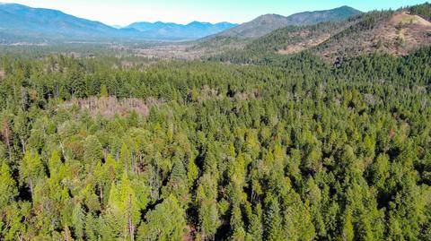 3580 E Fork Rd, Williams, OR 97544 photo 61
