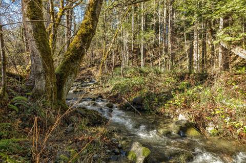 3580 E Fork Rd, Williams, OR 97544 photo 51