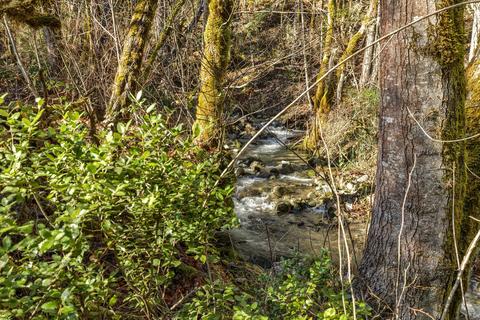 3580 E Fork Rd, Williams, OR 97544 photo 46