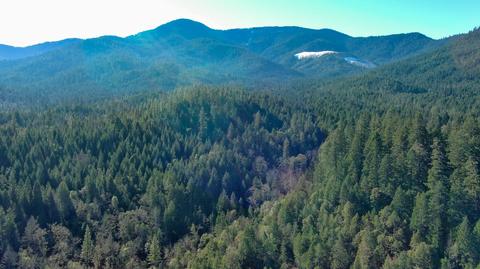 3580 E Fork Rd, Williams, OR 97544 photo 60