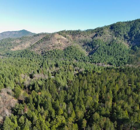3580 E Fork Rd, Williams, OR 97544 photo 59