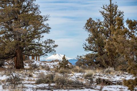 25480 Bachelor Ln, Bend, OR 97701