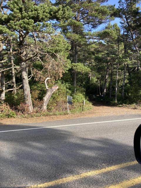 88265 Rhododendron Dr, Florence, OR 97439