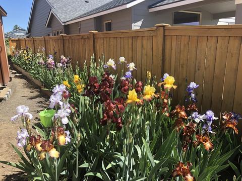 20831 Bobwhite Ct, Bend, OR 97701 photo 29