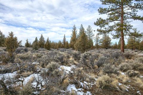 22018 Quebec Ct, Bend, OR 97702 photo 2
