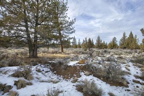 22018 Quebec Ct, Bend, OR 97702 photo 7