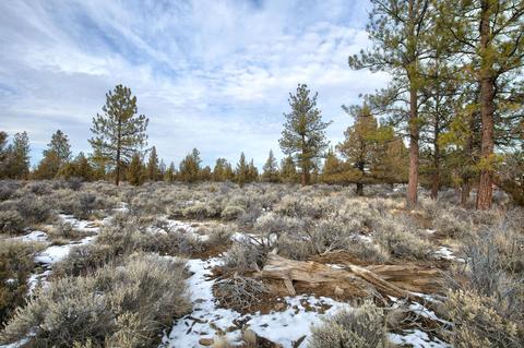 22018 Quebec Ct, Bend, OR 97702 photo 4