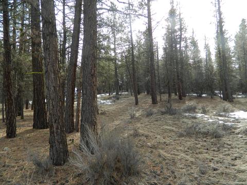 lot7 Mayberry Dr, Beatty, OR 97621
