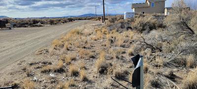 4600 Spruce Ln, Christmas Valley, OR 97641