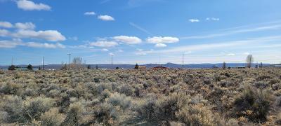 15600 Tamarack Ln, Christmas Valley, OR 97641
