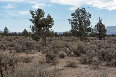25908 SW Cooper St, Bend, OR 97701 photo 20