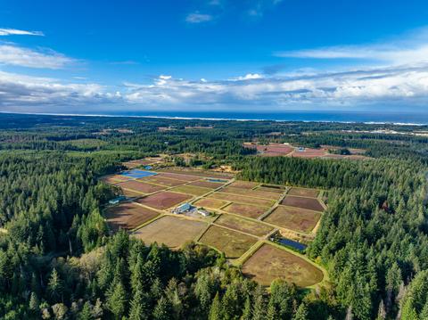 88497 Circle Ln, Bandon, OR 97411