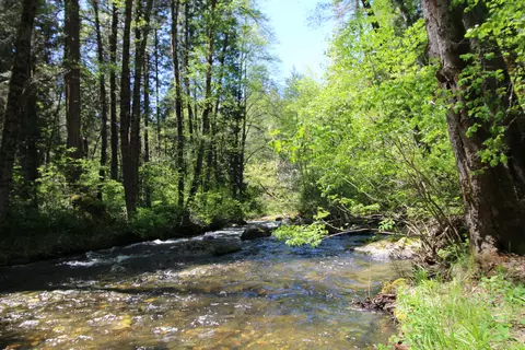 10000 Little Applegate Rd, Jacksonville, OR 97530