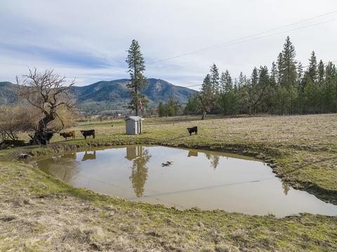 16500 Water Gap Rd, Williams, OR 97544 photo 38