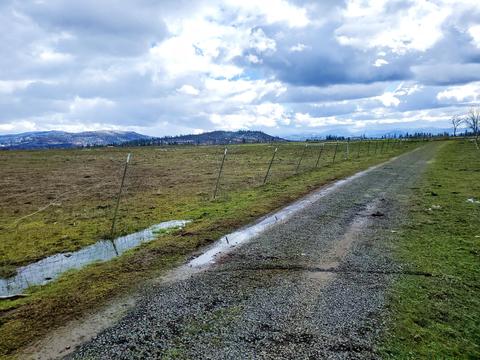 435 Trails End Ln, Eagle Point, OR 97524 photo 4