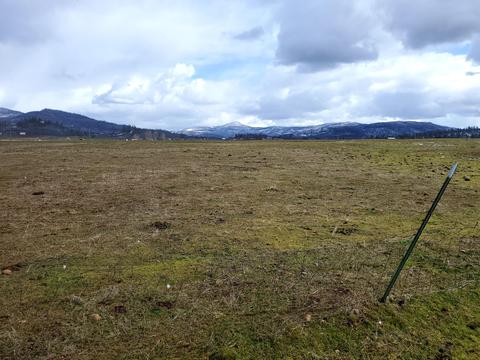 435 Trails End Ln, Eagle Point, OR 97524 photo 7