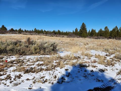 Nka Lot 1 Block 35 Sundance Drive, Chiloquin, OR 97624