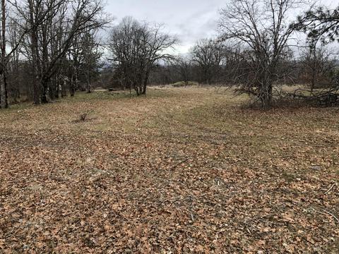 Tl1402 Three Oaks Drive, White City, OR 97503