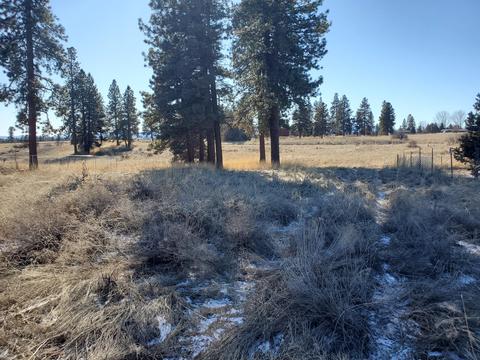 lot13 Meadow View Dr, Chiloquin, OR 97624
