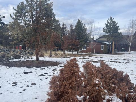 62909 Bilyeu Way, Bend, OR 97701 photo 3