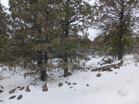 lot Apt 3100 Warbler Dr, Bonanza, OR 97623