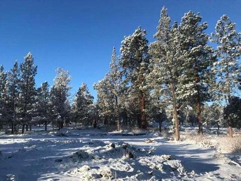 65329 Tweed Rd, Bend, OR 97703 photo 11