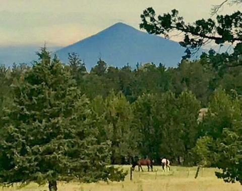 65329 Tweed Rd, Bend, OR 97703 photo 9