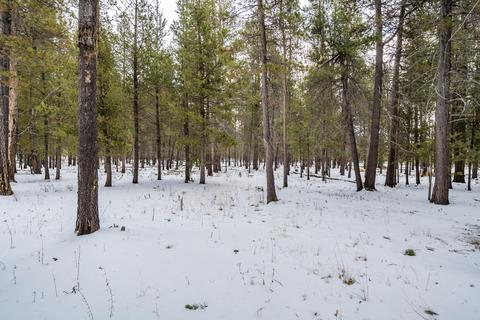 16563 Sprague Loop, La Pine, OR 97739 photo 41