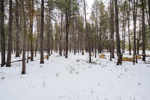 16563 Sprague Loop, La Pine, OR 97739 photo 42