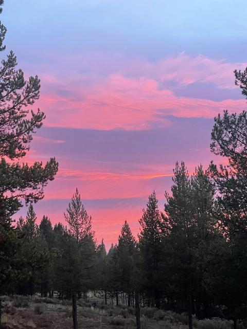 16563 Sprague Loop, La Pine, OR 97739 photo 56