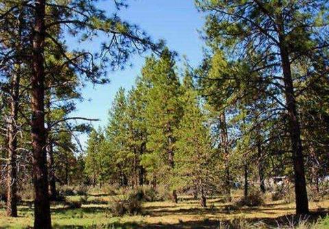 lot8 Ruddy Duck Dr, Bonanza, OR 97623