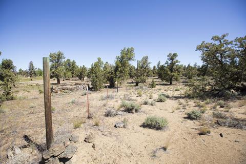 0 Bachelor Ln, Bend, OR 97701 photo 8