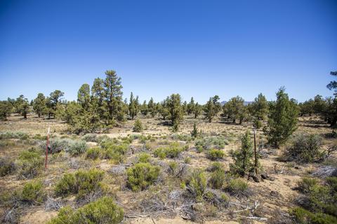 0 Bachelor Ln, Bend, OR 97701 photo 6