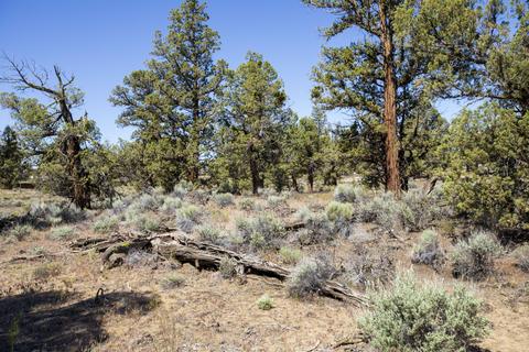 0 Bachelor Ln, Bend, OR 97701 photo 3