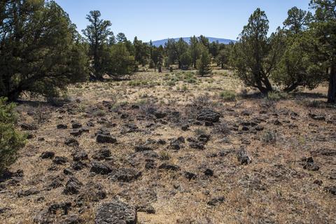0 Bachelor Ln, Bend, OR 97701 photo 5