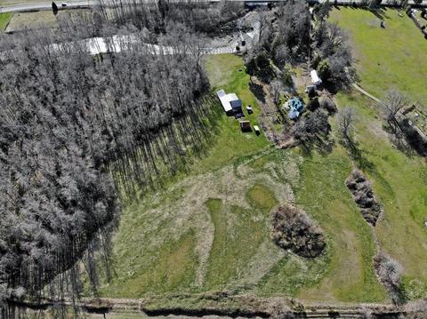 3351 Holland Loop Rd, Cave Junction, OR 97523 photo 5