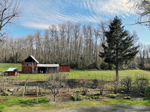 3351 Holland Loop Rd, Cave Junction, OR 97523 photo 13