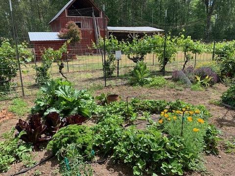 3351 Holland Loop Rd, Cave Junction, OR 97523 photo 22