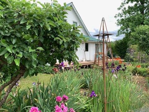 3351 Holland Loop Rd, Cave Junction, OR 97523 photo 26