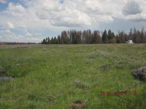 lot1100 Shasta Fir Ln, Bly, OR 97622