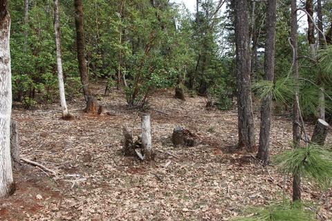1789 Laurel Rd, Cave Junction, OR 97523 photo 6