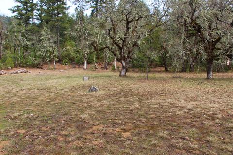 1789 Laurel Rd, Cave Junction, OR 97523 photo 5