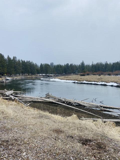 54621 Gray Squirrel Dr, Bend, OR 97707 photo 33