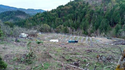 105770 W Fork Trail Creek Rd, Trail, OR 97541