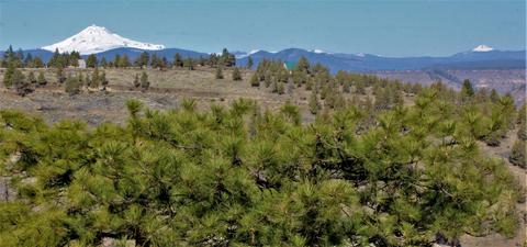 11780 SW Pixie Ln, Culver, OR 97734 photo 10