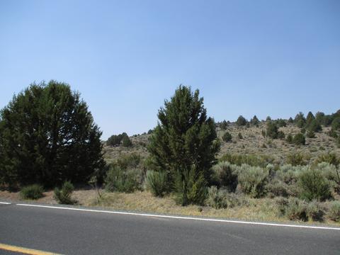 Drews Road, Sprague River, OR 97639